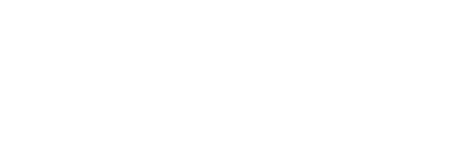 Capital Wealth