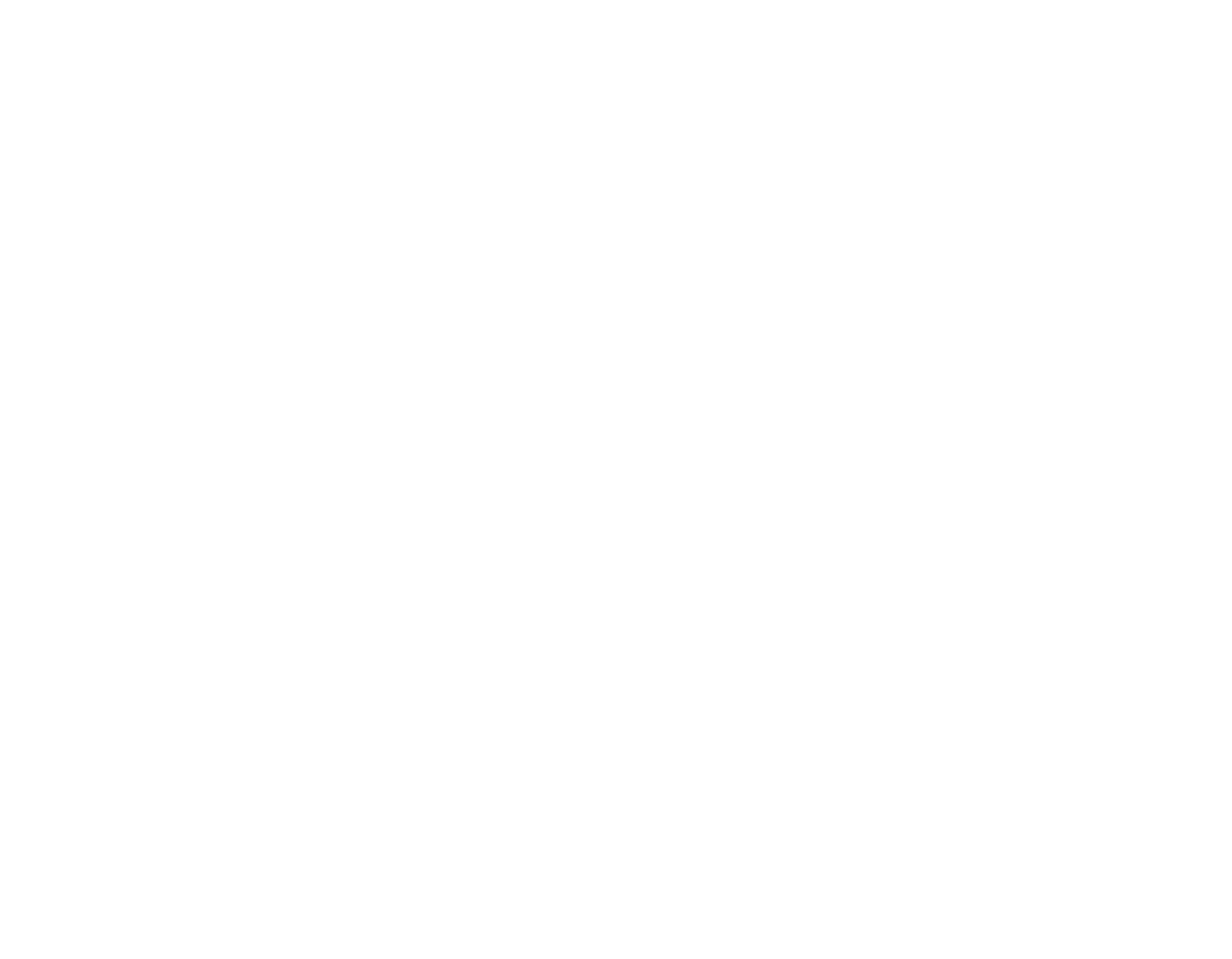 Capital Wealth Advisors