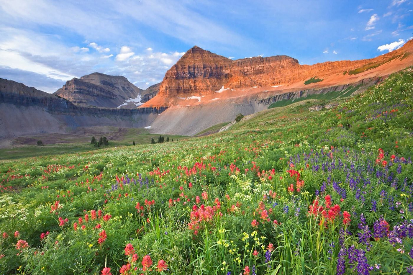 A couple enjoying retirement in a Utah wildflower meadow